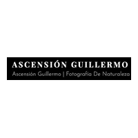 ASCENSION_GUILLERMO